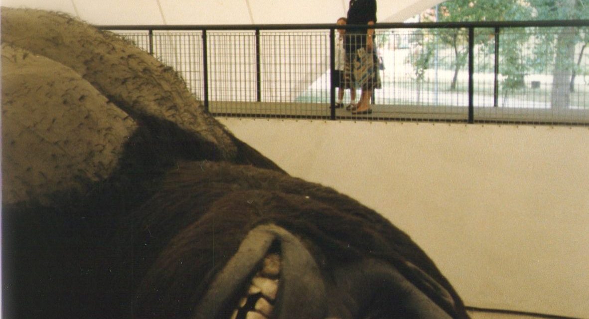 Ipercorpo – La stanza del Padre