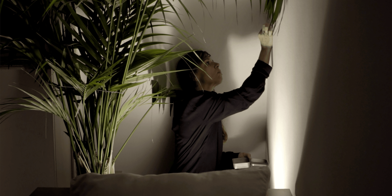 healing interventions for domestic wounds