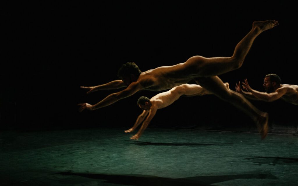 Erectus – Pithecanthropus