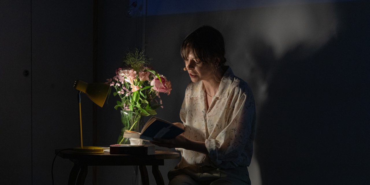 Lettera malinconica a una poetessa | E ora parliamo di Amelia