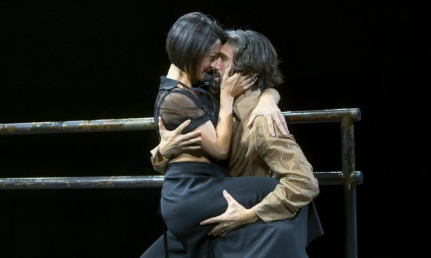 Traducendo il desiderio | “Il danno” di Susanna Beltrami / DANCEHAUSpiù