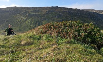 Officina Critica #3: seconda tappa | Library of Botanical Voices